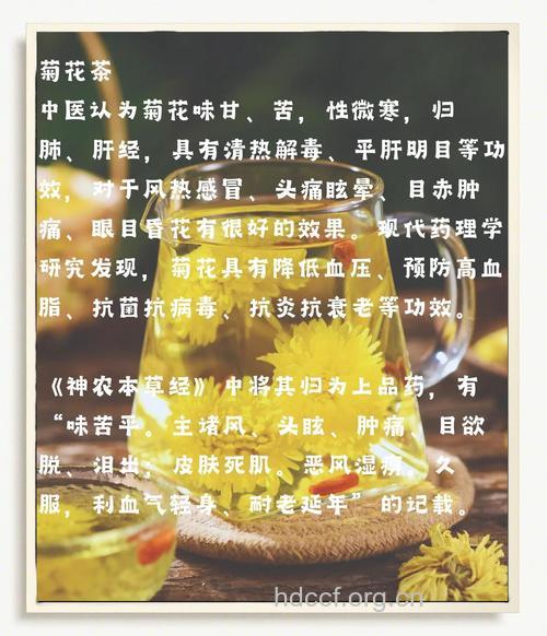 普洱菊花茶的泡法及功效