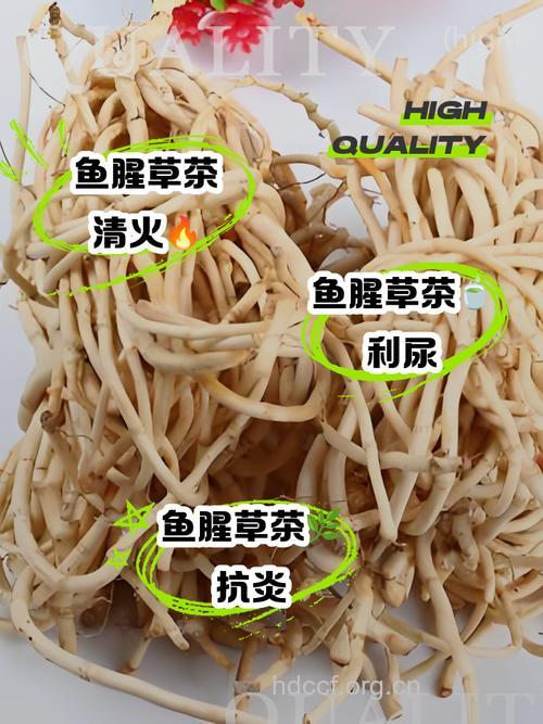 鱼腥草山楂茶的泡法及功效