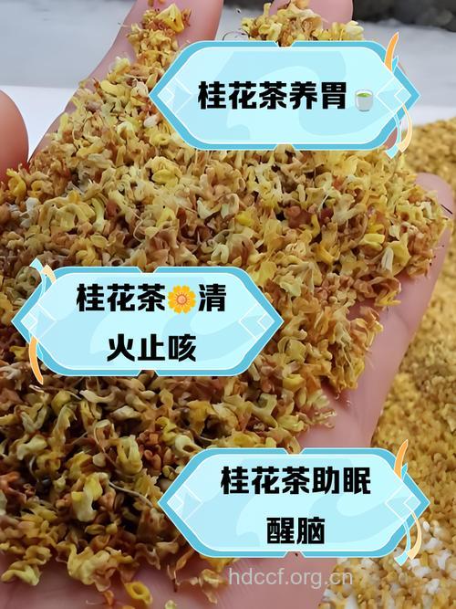 月桂茶的泡法及功效