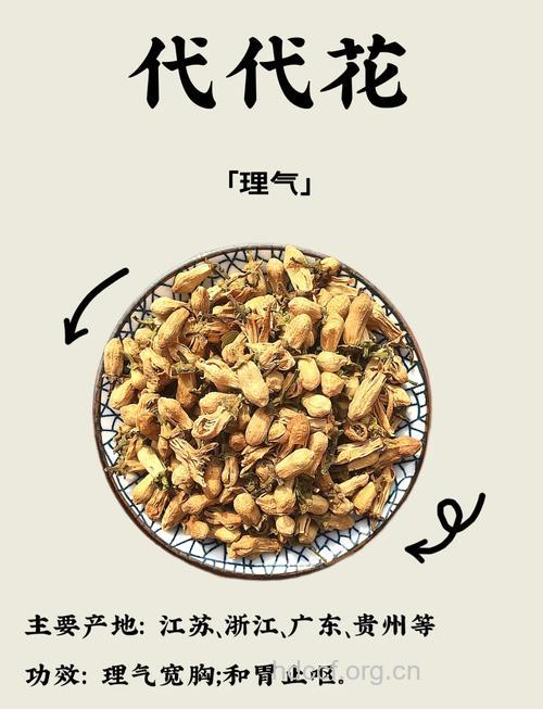 代代花瘦身茶的泡法及功效