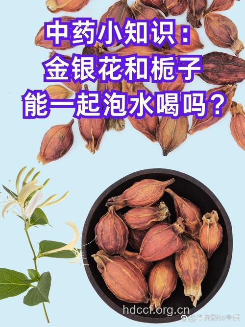 银花栀子茶的泡法及功效