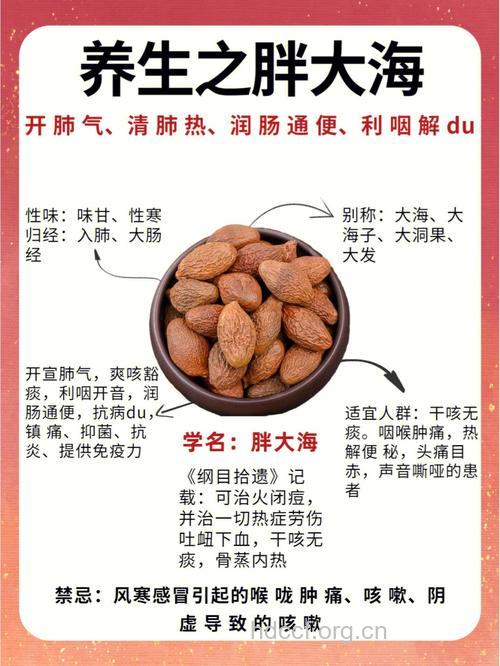 胖大海茶的泡法及功效
