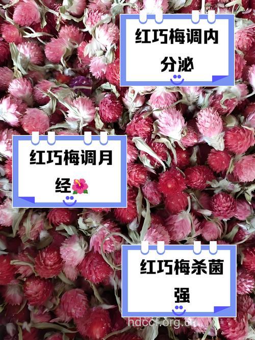红巧梅花茶的泡法及功效