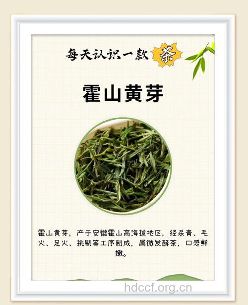 霍山黄芽茶的泡法及功效