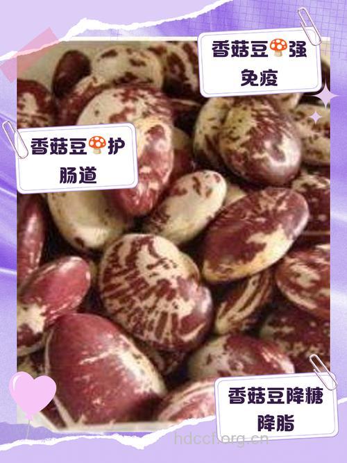 最佳搭配 香菇豆泡的4大营养价值