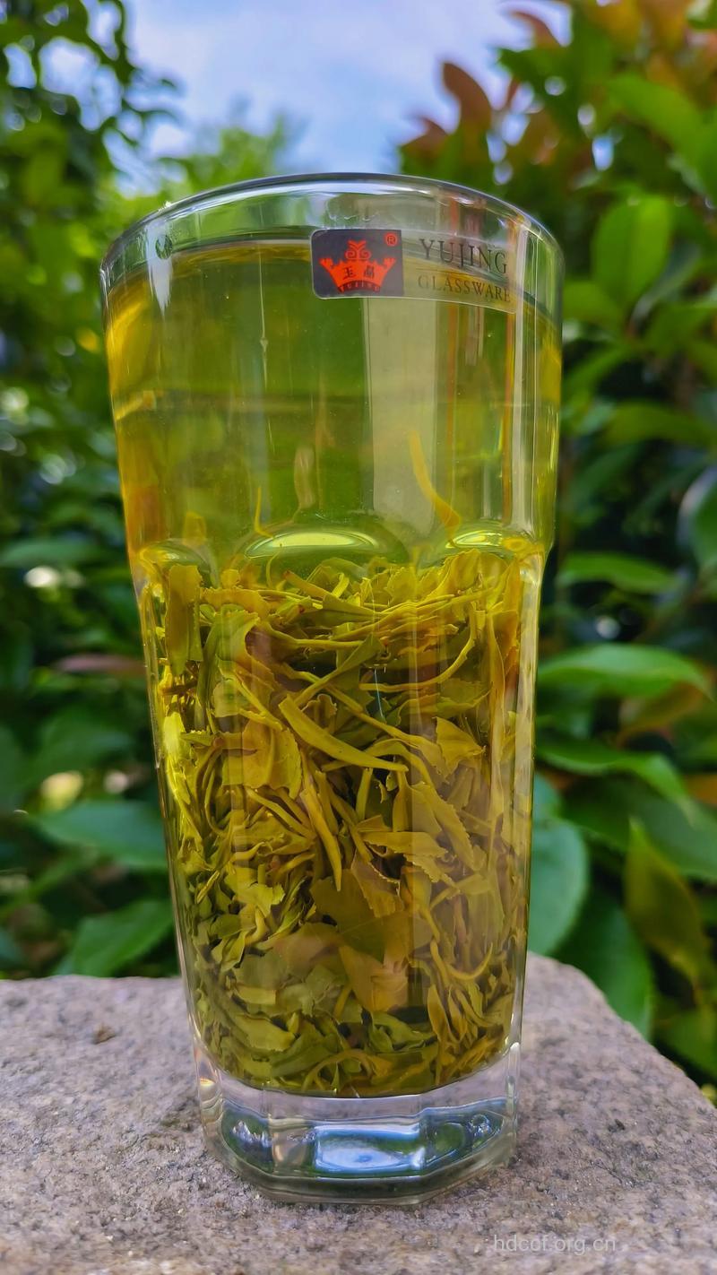 车云山毛尖茶的泡法及功效