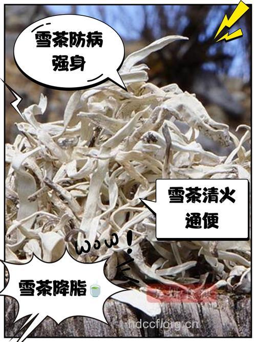 新江羽绒茶的泡法及功效