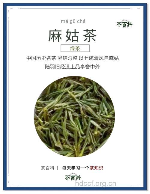 麻姑茶的泡法及功效