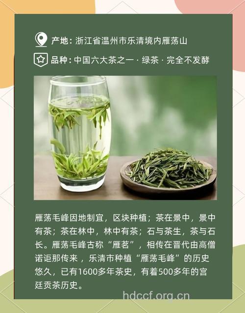 雁荡毛峰茶的泡法及功效