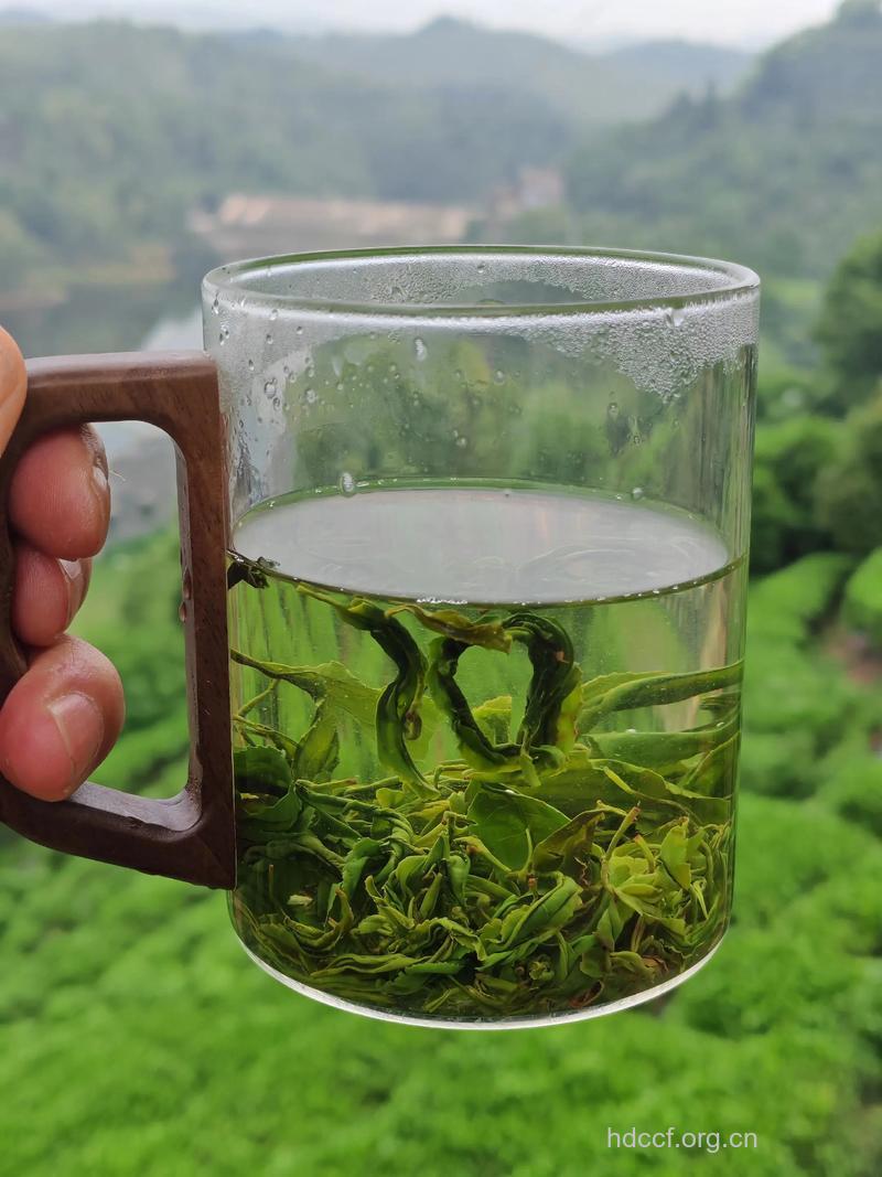 江华毛尖茶的泡法及功效