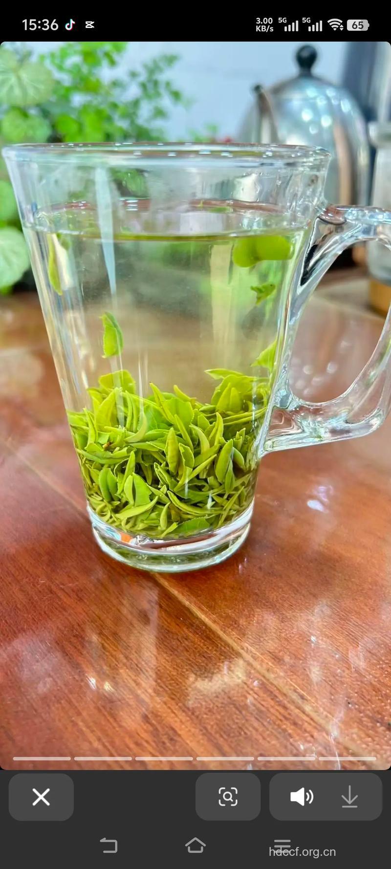 午子仙毫茶的泡法及功效