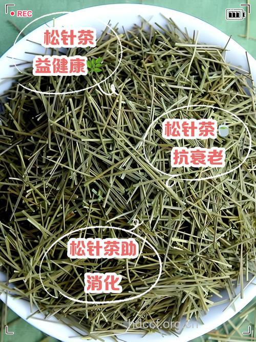 安化松针茶的泡法及功效
