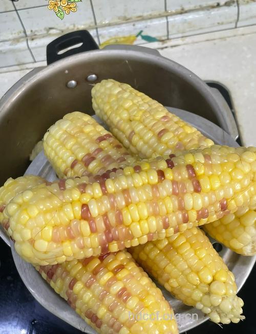 玉米3种新做法 你们还在煮着吃吗?