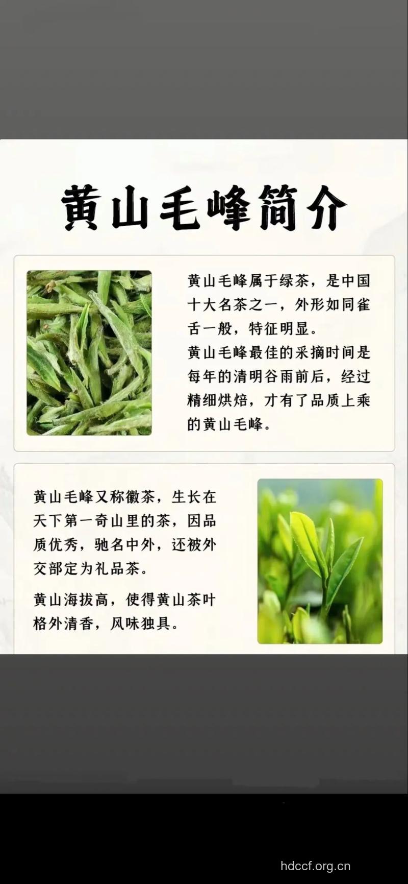 黄山毛峰茶的泡法及功效