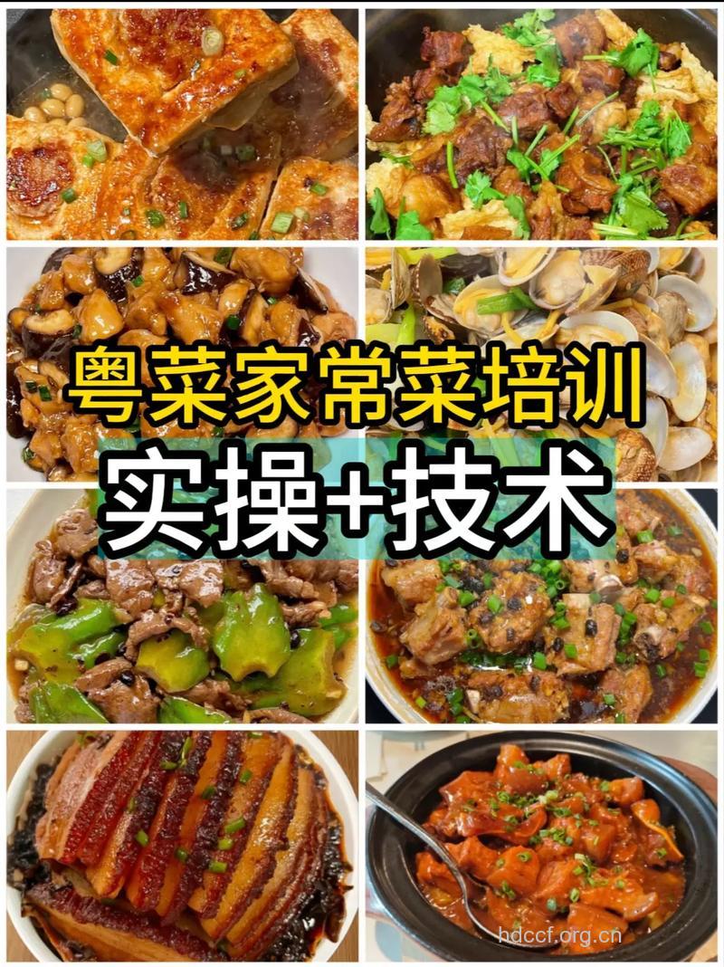 大厨宝典 教你做回广东菜