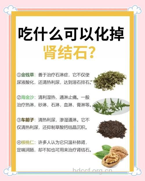 补充维生素可有效的预防肾结石