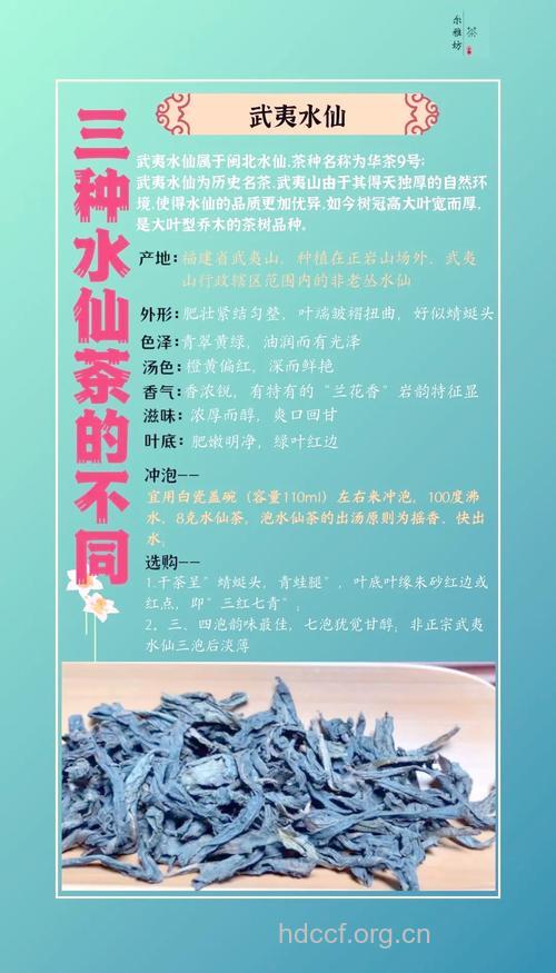 武夷水仙茶的泡法及功效