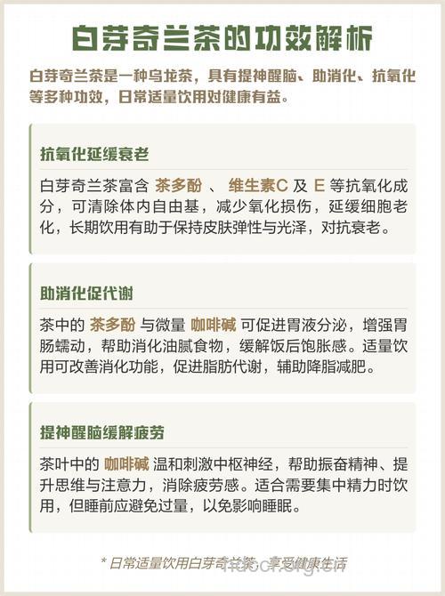 白芽奇兰茶的泡法及功效