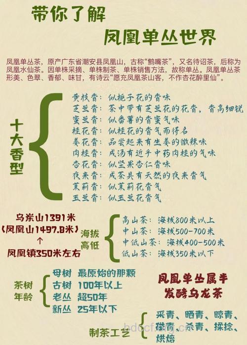 凤凰单枞茶的泡法及功效