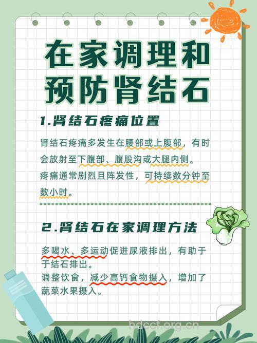 肾结石怎么家庭调养呢