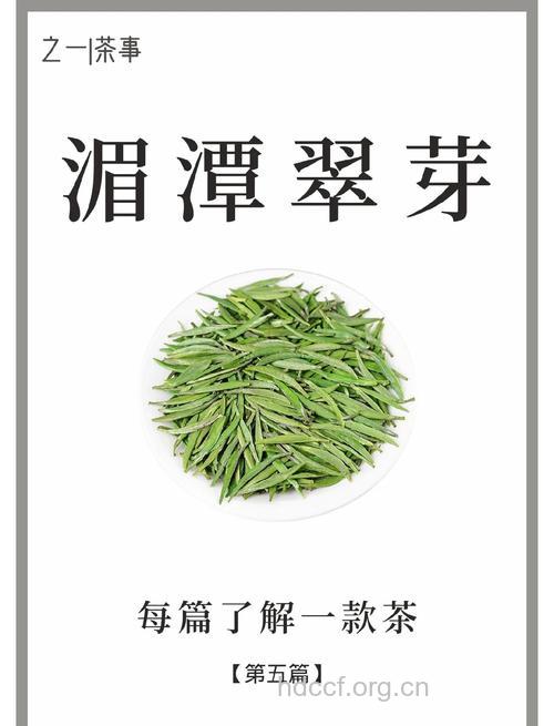 湄潭翠芽茶的泡法及功效