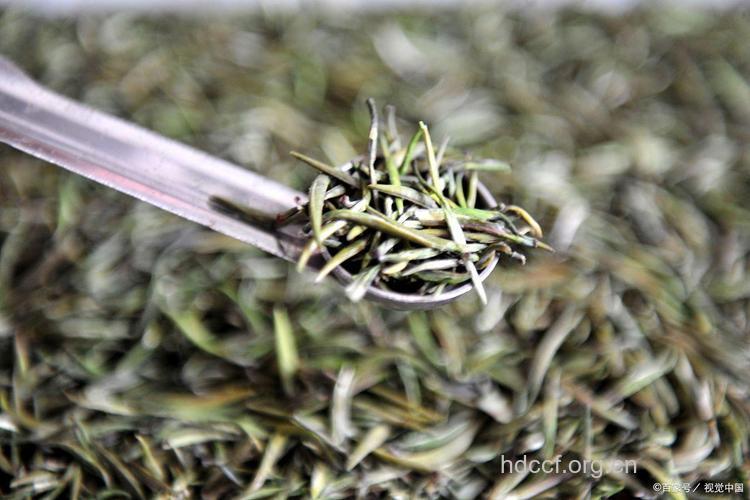 秦巴雾毫茶的泡法及功效