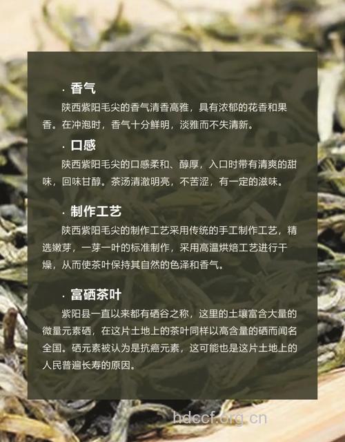 紫阳毛尖茶的泡法及功效