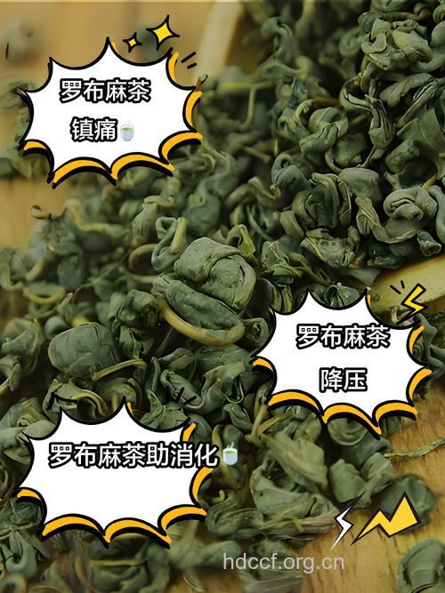 罗布麻茶的泡法及功效