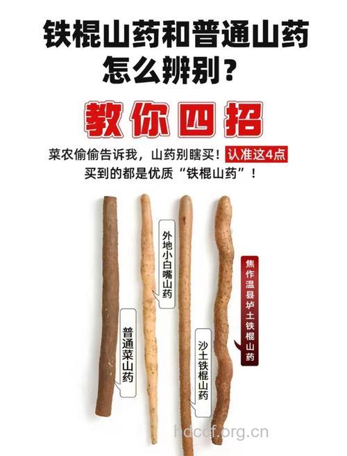 怎样挑选铁棍山药和普通山药