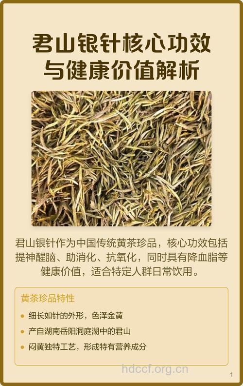 君山银针茶的功效和泡法