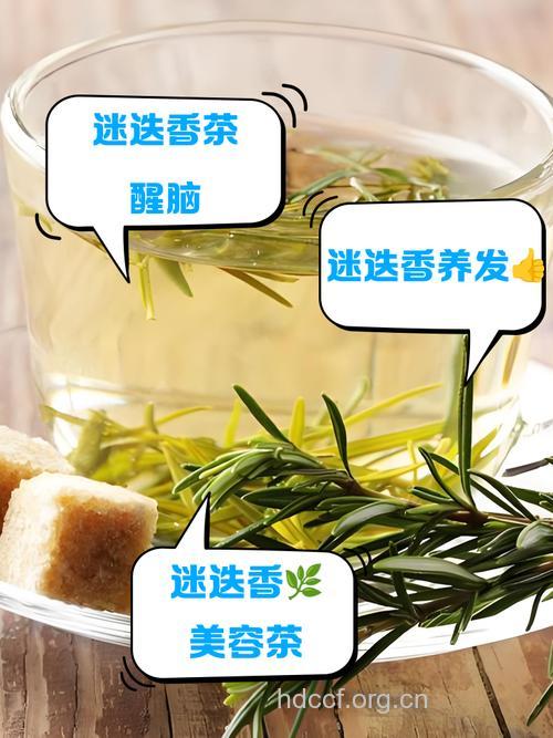 迷迭香茶的功效和泡法