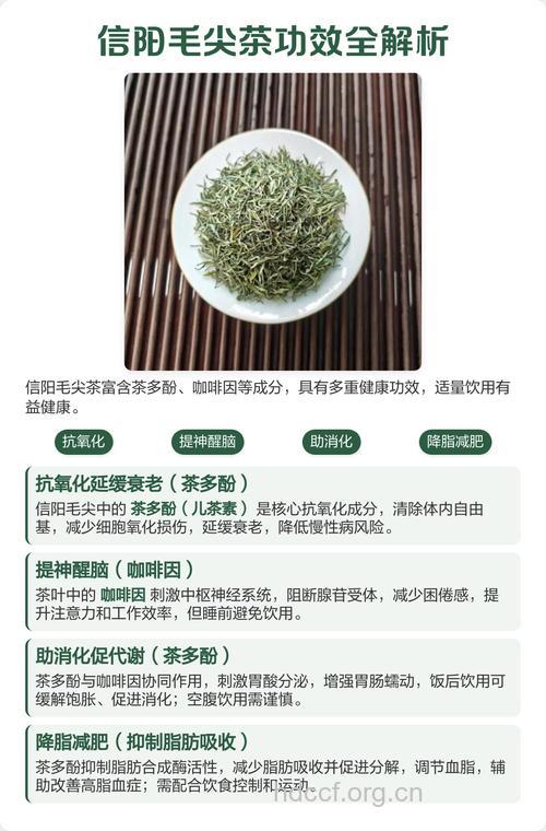 信阳毛尖茶的泡法可影响功效