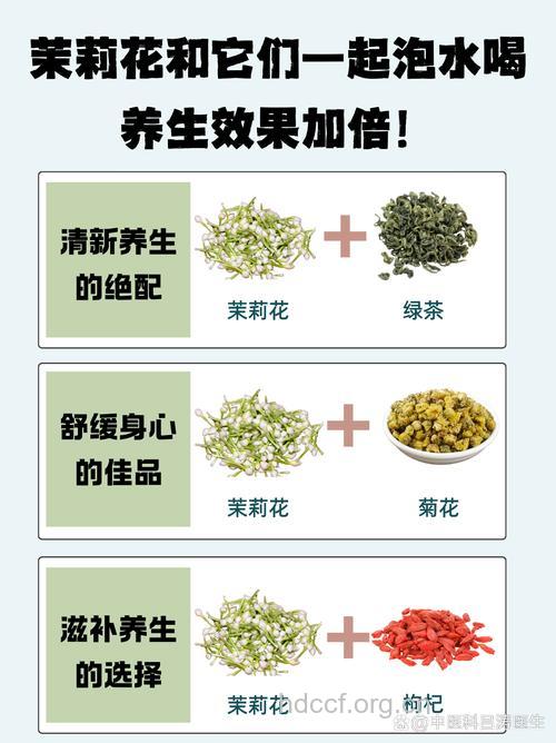 茉莉花茶功效多 怎么泡