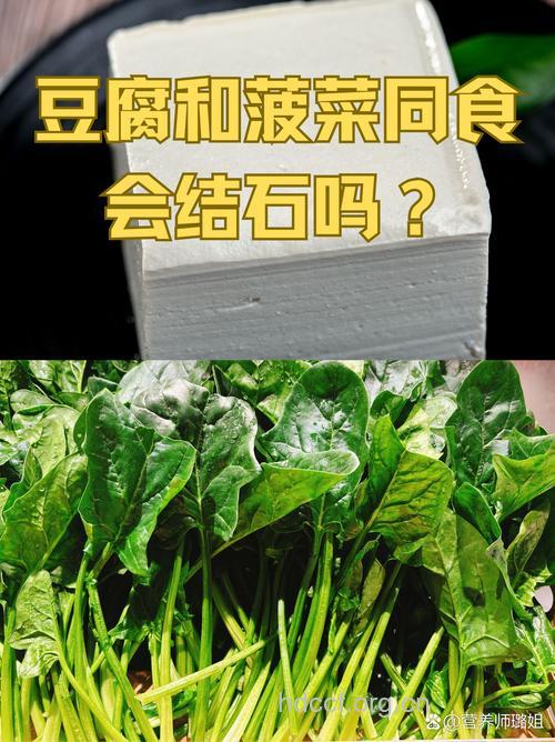 豆腐菠菜搭配吃会得肾结石吗