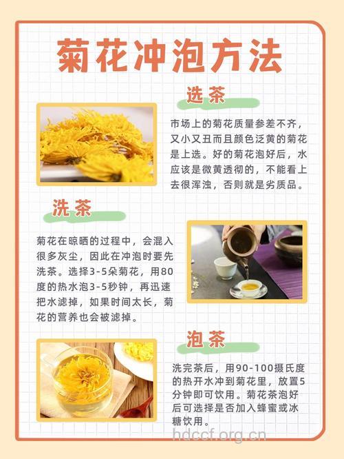 泡菊花茶有哪些步骤