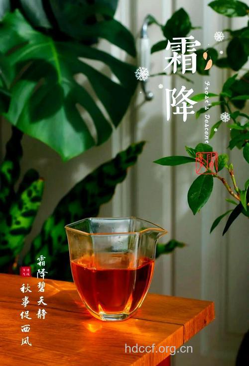 霜降节气喝什么茶饮好