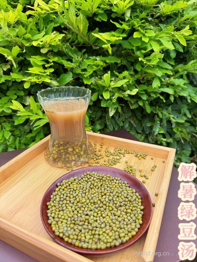 绿豆汤怎么煮 4个方法熬出绿色豆汤