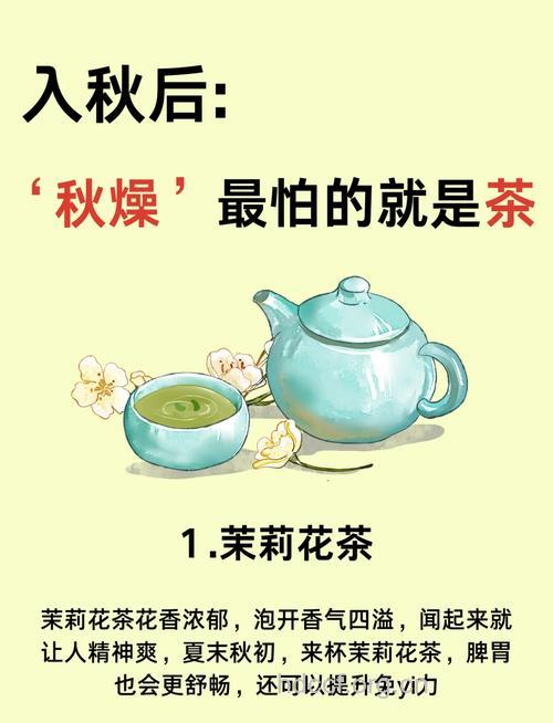 防止秋燥的十五款茶
