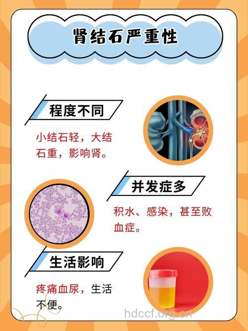 什么原因会增加肾结石的风险呢