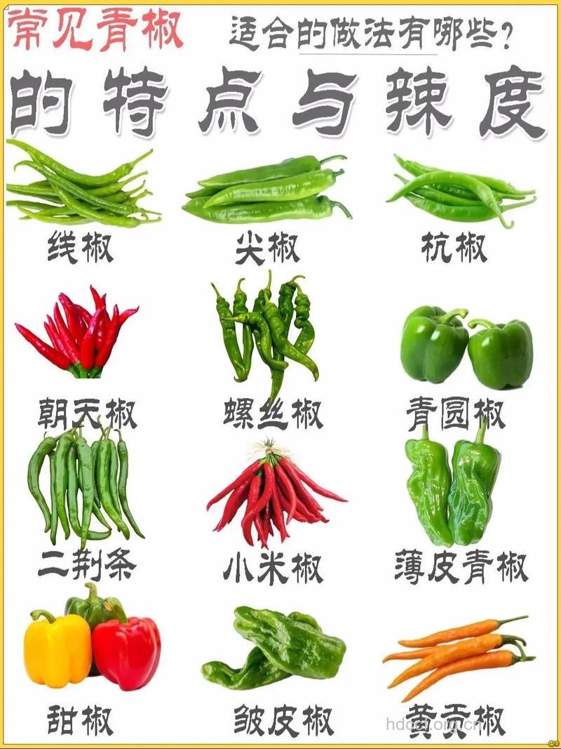 盘点 青椒的不同做法