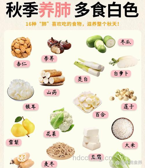 秋季养肺就吃6种食物