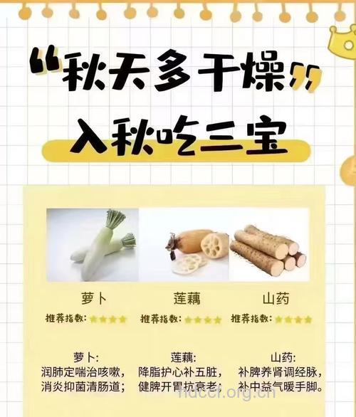 秋季吃这三宝竟有这等奇效