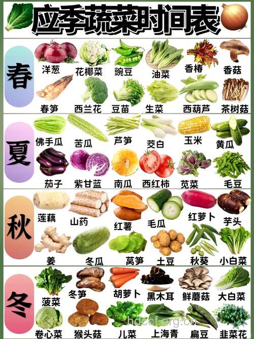 秋季吃什么蔬菜好 吃8种蔬菜有益健康