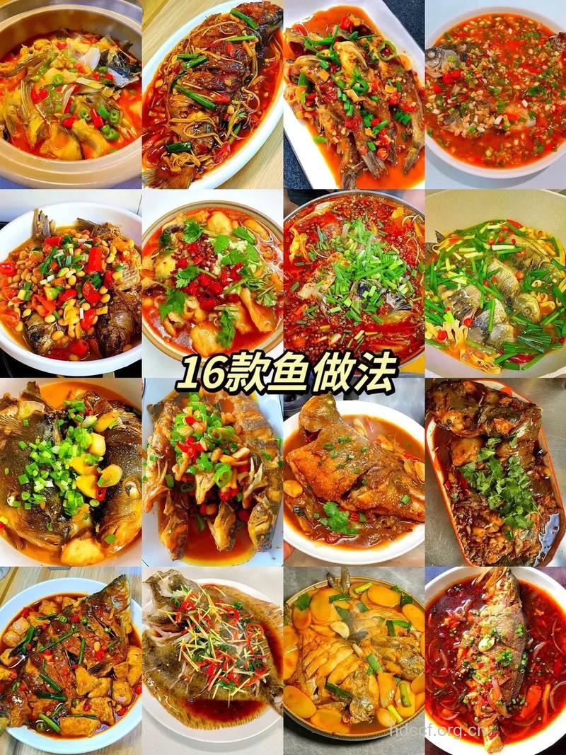 16种鱼的美味做法大全