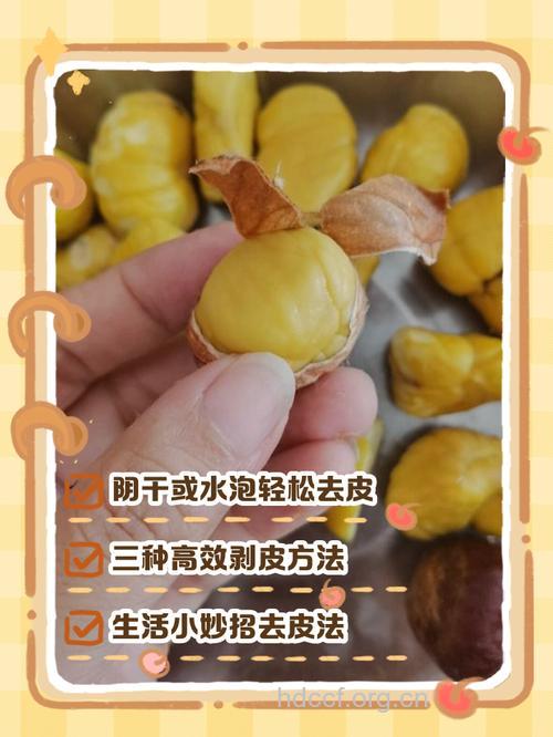 剥栗子剥到手疼 11招快速去除板栗皮