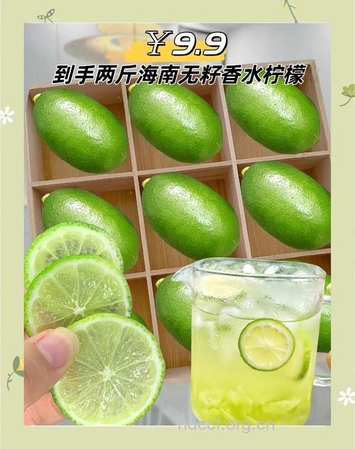 酷爽一夏 薄荷柠檬冰爽茶的做法