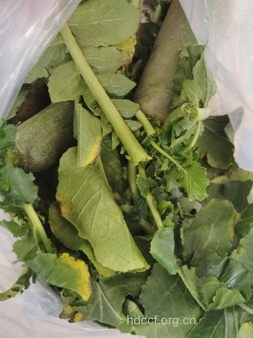 蔬菜刀切不如手撕好