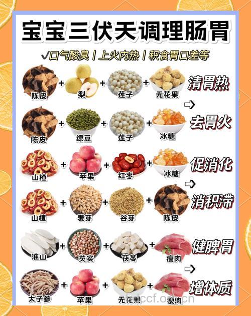 三伏天宝宝吃什么好 九款食谱爽开胃