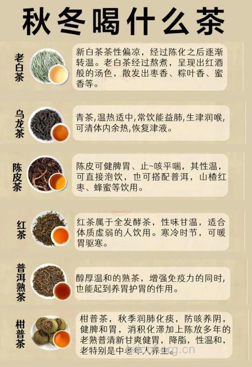 冬天喝什么茶水最适合
