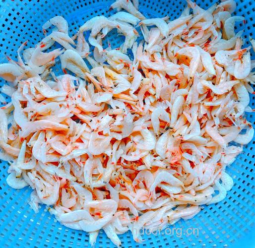 虾皮烹饪之前应该多泡泡